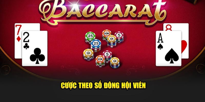 Cược theo số đông hội viên