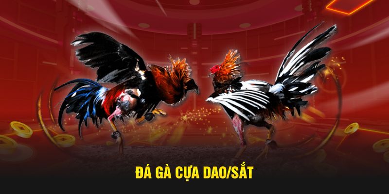 Đá gà cựa dao/sắt