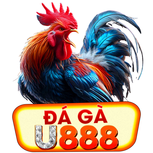 Đá Gà U888