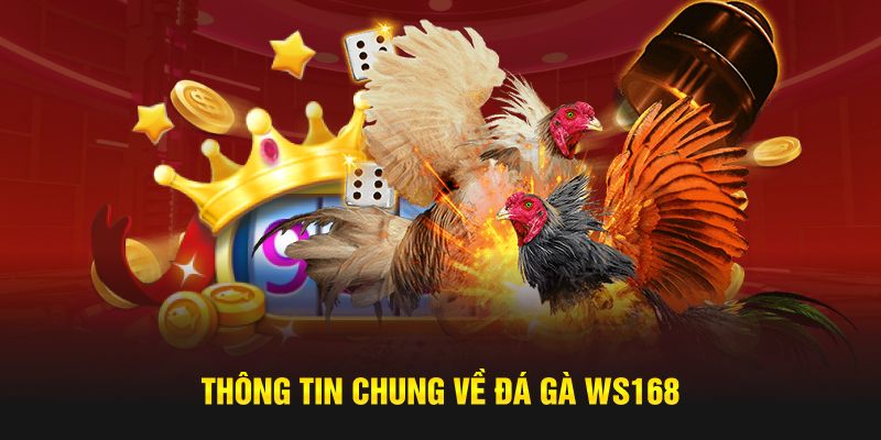 Thông tin chung về đá gà WS168